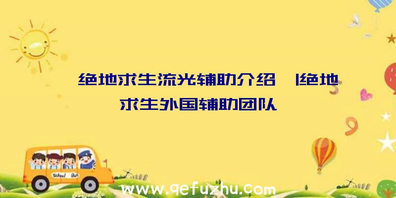 「绝地求生流光辅助介绍」|绝地求生外国辅助团队